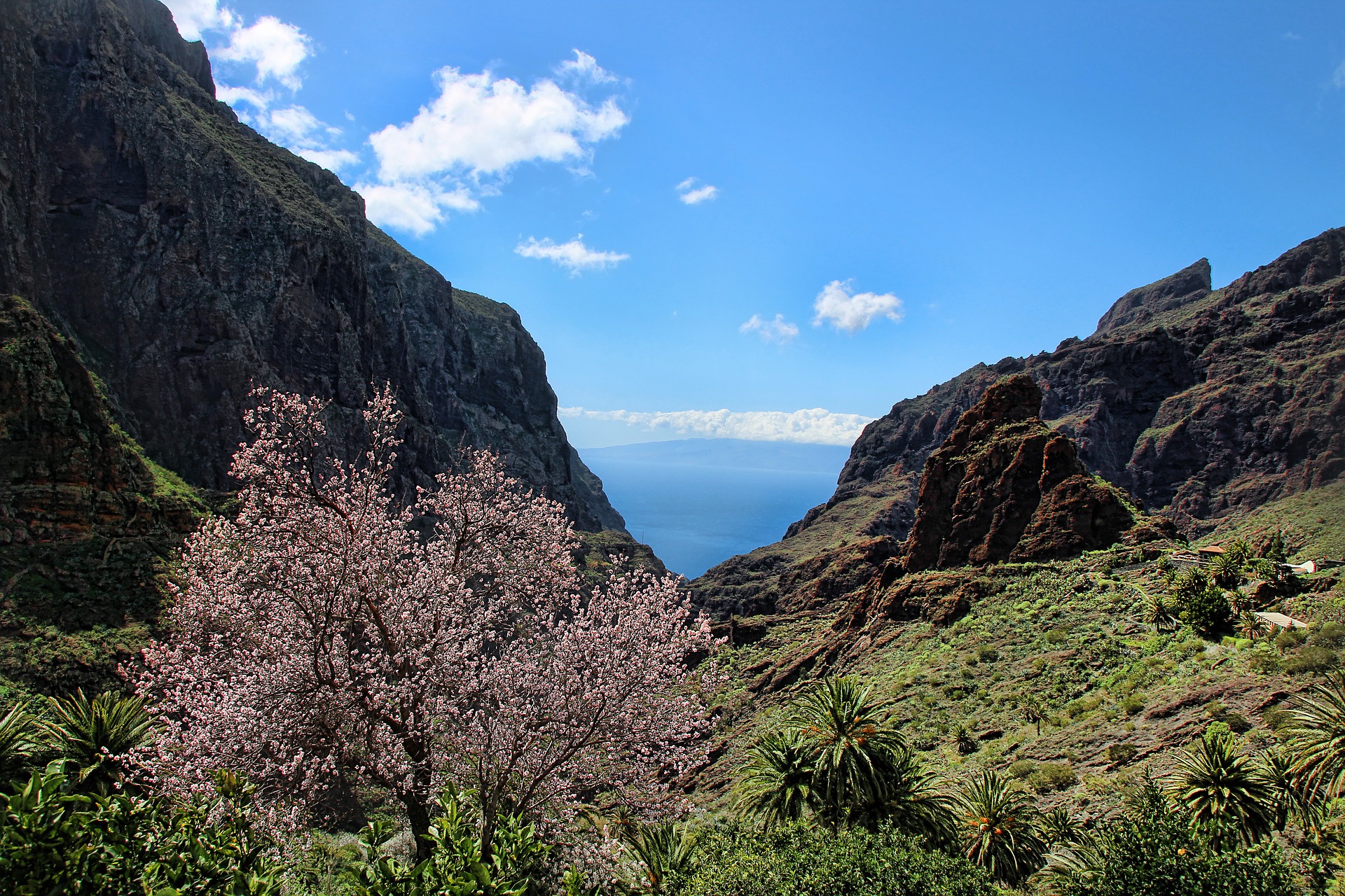 El Parque Rural de Teno, uno de los Parques Rurales de Tenerife protagonista del artículo sobre paisajes productivos de Canarias