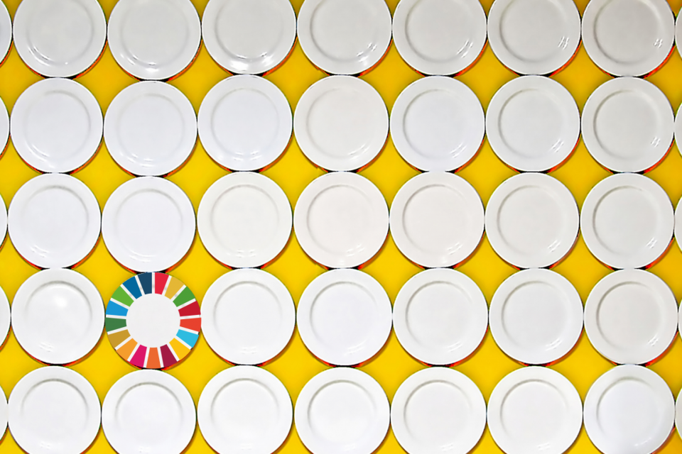 Imagen de muchos platos, uno de ellos lleva el simbolo de los ODS, Objetivos de Desarrollo Sostenible, tema que hemos escogido para comenzar a hablar de sostenibilidad y empresas de impacto positivo en gastronomia, desde simple culinaria